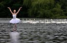 Swan Lake publicicty picture - Australian Ballet in Cardiff